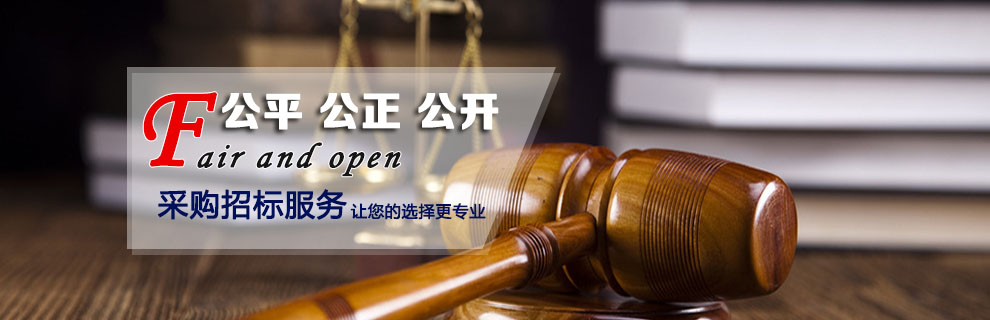 廣東方元招標采購代理有限公司